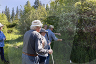 Empire Mine Bird Monitoring Demonstration For Sierra Services For The Blind And Visually Impaired