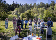 Empire Mine Bird Monitoring Demonstration For Sierra Services For The Blind And Visually Impaired