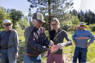 Empire Mine Bird Monitoring Demonstration For Sierra Services For The Blind And Visually Impaired