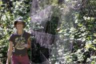 Empire Mine Bird Monitoring Program