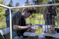 Empire Mine Bird Monitoring Program