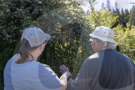 Empire Mine Bird Monitoring Demonstration For Sierra Services For The Blind And Visually Impaired