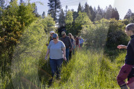 Empire Mine Bird Monitoring Demonstration For Sierra Services For The Blind And Visually Impaired