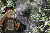 Empire Mine Bird Monitoring Program