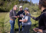 Empire Mine Bird Monitoring Demonstration For Sierra Services For The Blind And Visually Impaired