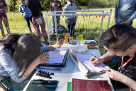 Empire Mine Bird Monitoring Program