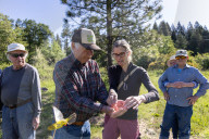 Empire Mine Bird Monitoring Demonstration For Sierra Services For The Blind And Visually Impaired