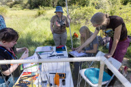 Empire Mine Bird Monitoring Program