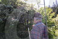 Empire Mine Bird Monitoring Demonstration For Sierra Services For The Blind And Visually Impaired