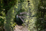 Empire Mine Bird Monitoring Program
