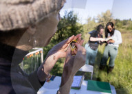 Empire Mine Bird Monitoring Program