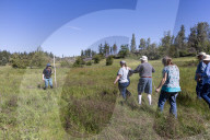 Empire Mine Bird Monitoring Demonstration For Sierra Services For The Blind And Visually Impaired