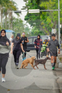 Lifestyle In The City