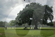 Monsoon In India