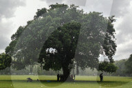 Monsoon In India