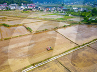 High Standard Farmland Construction