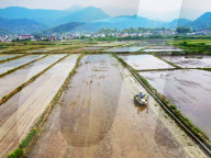 High Standard Farmland Construction