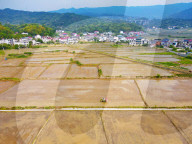 High Standard Farmland Construction