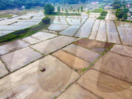 High Standard Farmland Construction