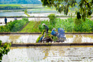 High Standard Farmland Construction