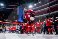 SPORT - Eishockey-WM: Schweiz verliert das Finalspiel gegen die USA