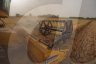 The Wheat Harvest Season Has Begun In Yusufiyah, South Of Baghdad.