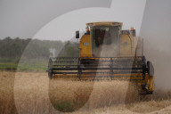 The Wheat Harvest Season Has Begun In Yusufiyah, South Of Baghdad.