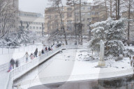 Snow In Novi Sad