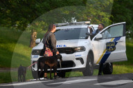 Two People Dead And Nine People Injured In A Mass Shooting At Fairmount Park