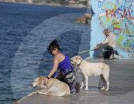 Daily Life In Athens 