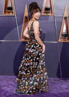 2025 American Music Awards - Arrivals