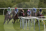Redcar Races
