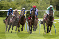 Redcar Races