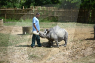 Centre For Wildlife Rehabilitation And Conservation (CWRC) In India 