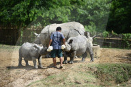 Centre For Wildlife Rehabilitation And Conservation (CWRC) In India 