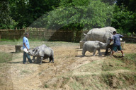 Centre For Wildlife Rehabilitation And Conservation (CWRC) In India 