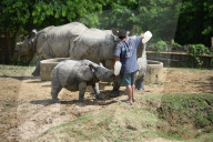 Centre For Wildlife Rehabilitation And Conservation (CWRC) In India 