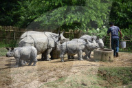 Centre For Wildlife Rehabilitation And Conservation (CWRC) In India 