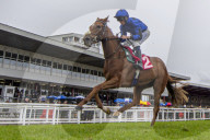 Redcar Races