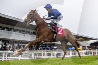 Redcar Races