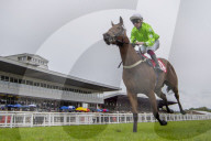 Redcar Races