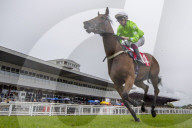 Redcar Races