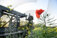 Artillery crew of Ukraine Rifle Battalion on front line