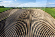 Agriculture Season In Poland