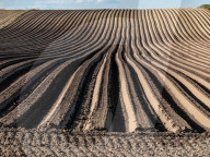 Agriculture Season In Poland