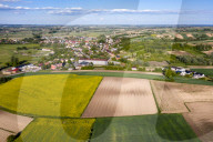 Agriculture Season In Poland