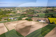 Agriculture Season In Poland