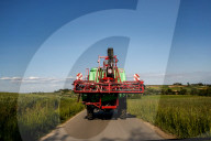 Agriculture Season In Poland