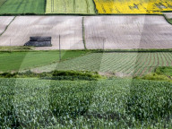 Agriculture Season In Poland