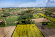 Agriculture Season In Poland